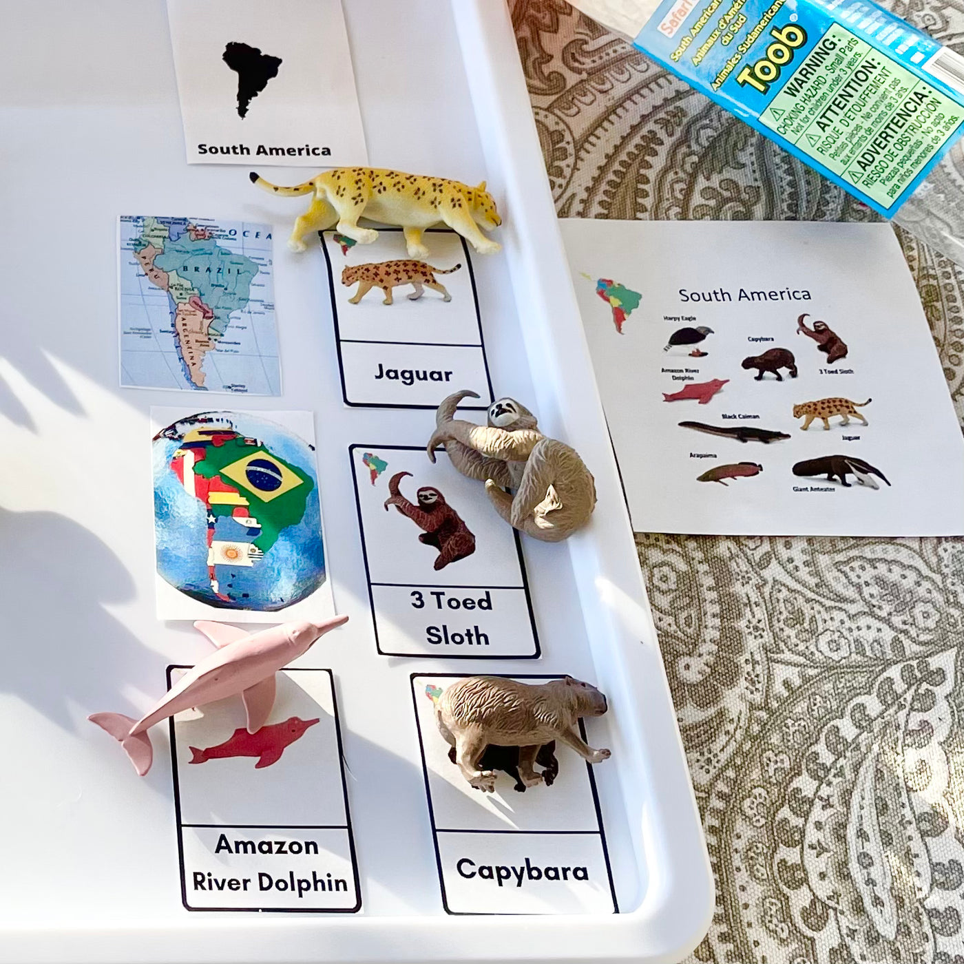 TOOB SOUTH AMERICAN ANIMALS