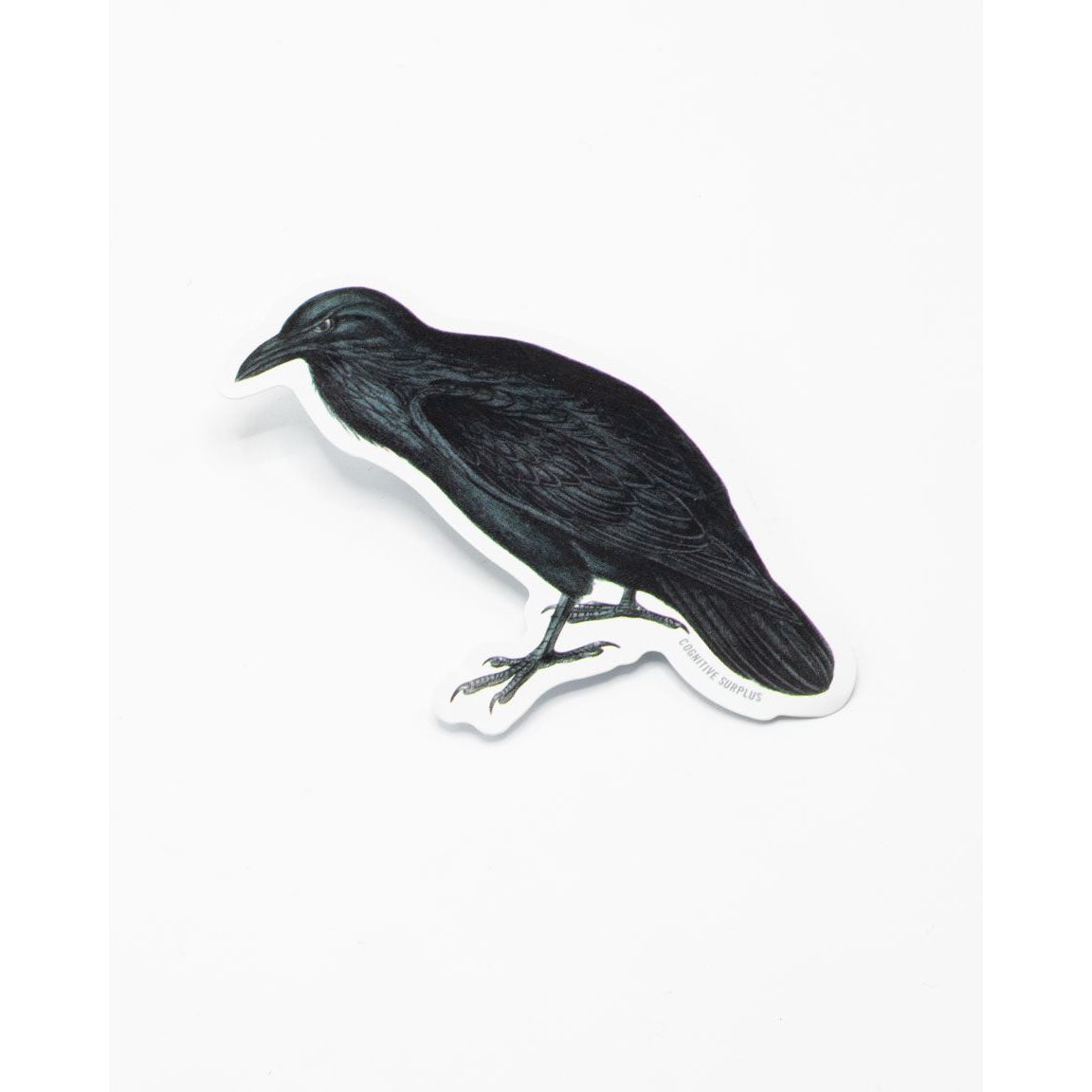 RAVEN STICKER