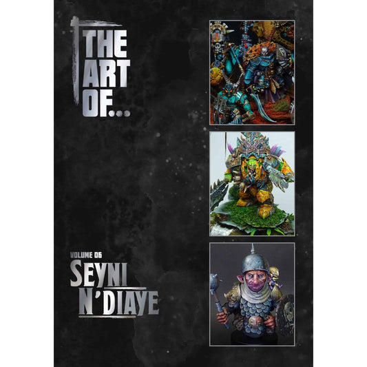 THE ART OF SEYNI N'DIAYE