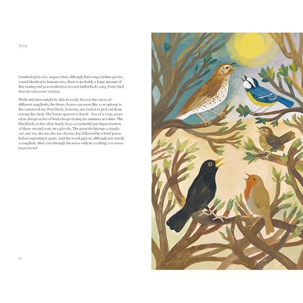 THE WILDLIFE YEAR BY SALLY COULTHARD