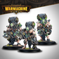 WARMACHINE: CRYX NECROFACTORIUM ARMY BOX – LEGIONS OF THE DEAD