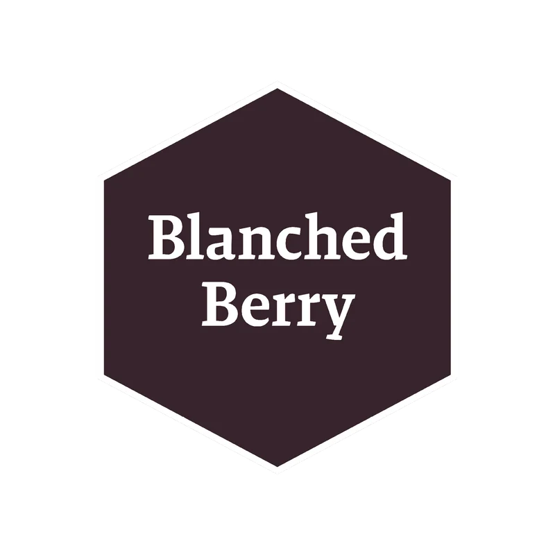 JOHN BLANCHE MASTERCLASS WARPAINT FANATIC BLANCHED BERRY