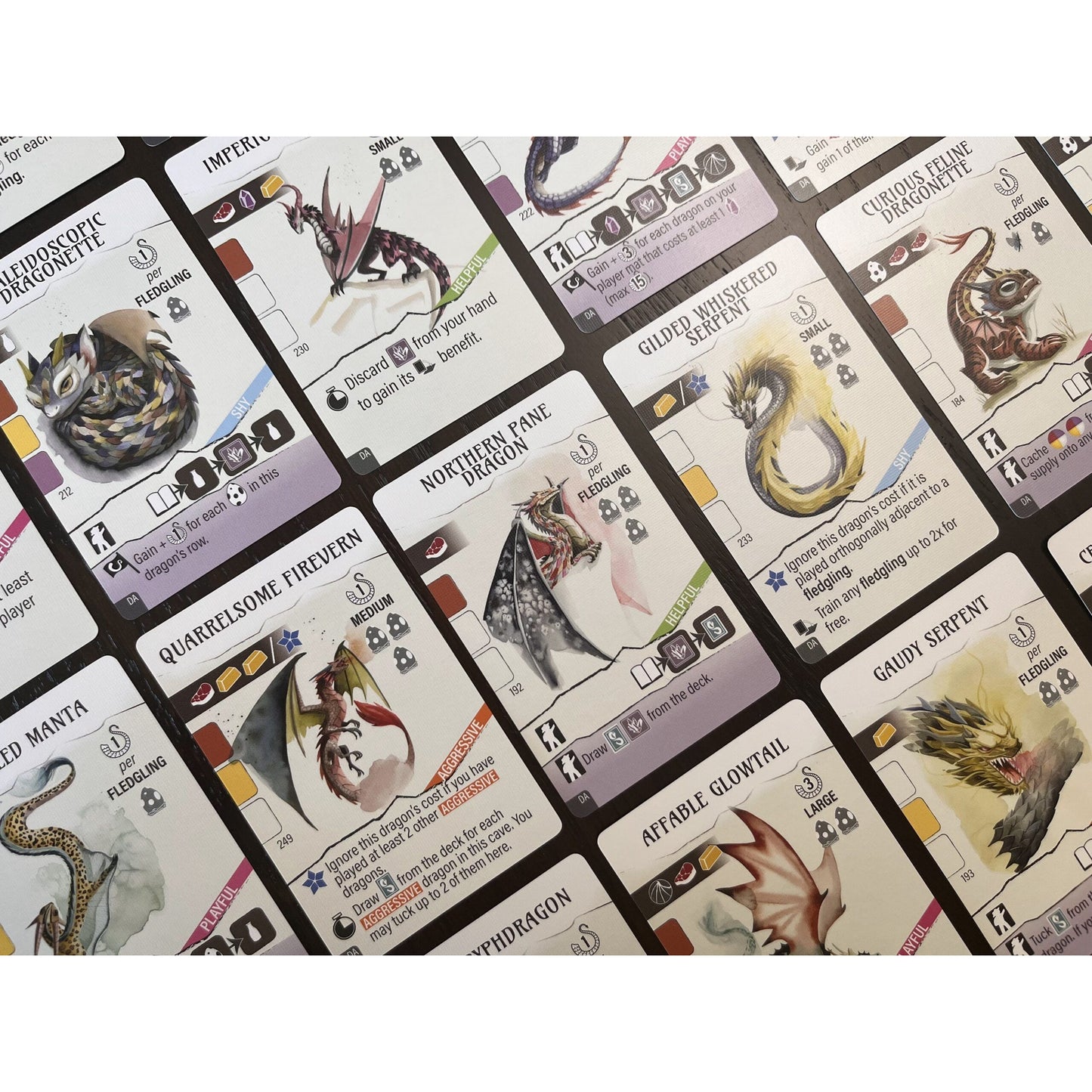 WYRMSPAN DRAGON ACADEMY