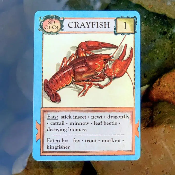 ECOLOGIES CARD GAME BIZARRE BIOMES EXPANSION
