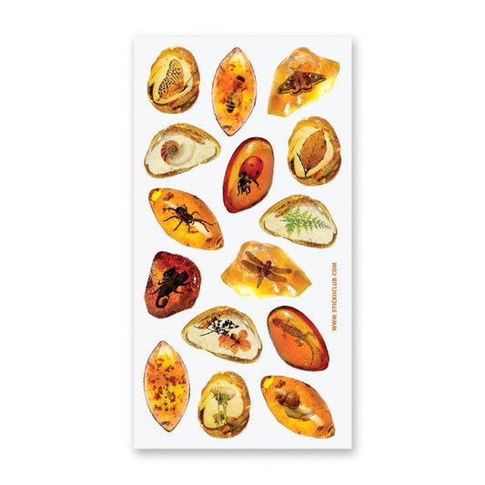 AMBER FOSSILS STICKER SHEET