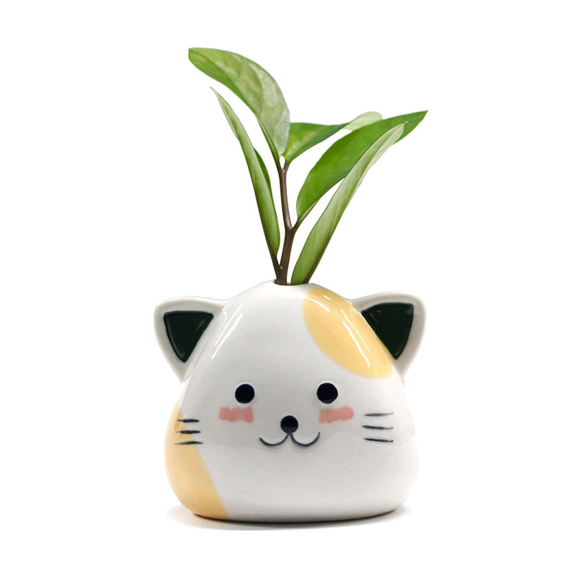ONIGIRI CAT CERAMIC VASE