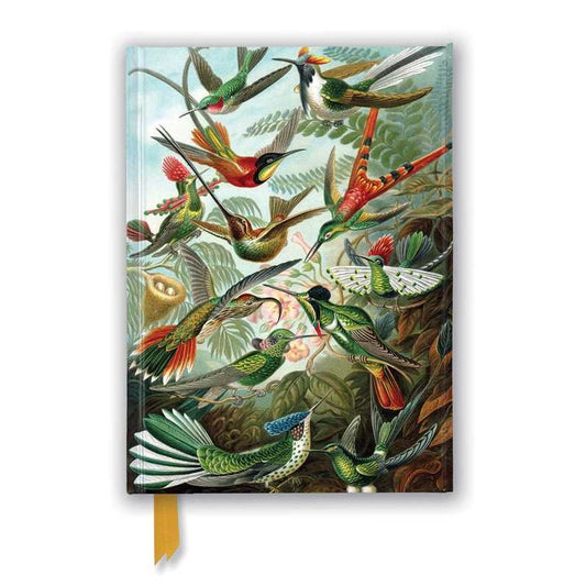 HUMMINGBIRDS BY ERNST HAECKEL BLANK JOURNAL