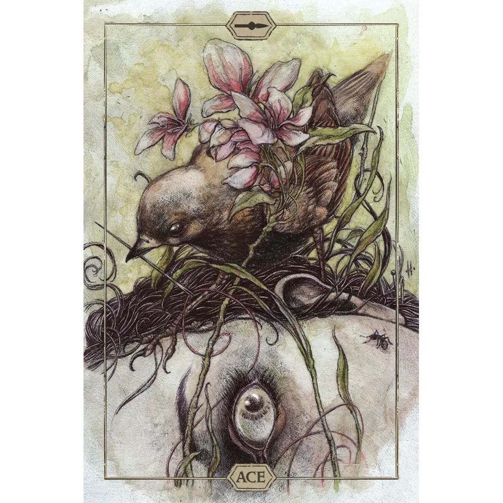 HUSH TAROT