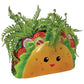 TACO PLANTER