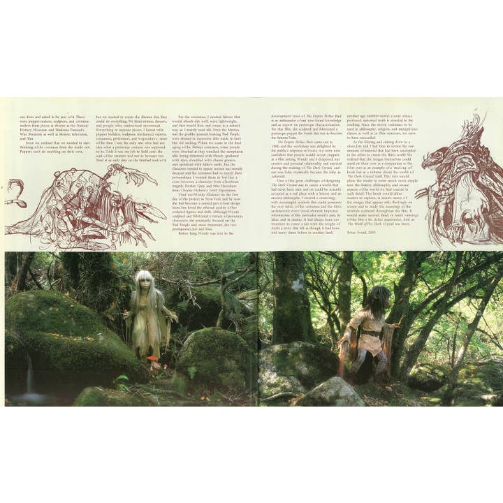 THE WORLD OF DARK CRYSTAL BY J.J. LLEWELLYN
