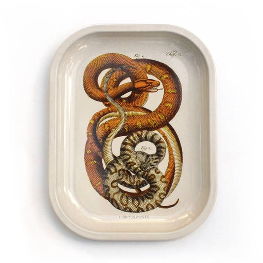 SMALL METAL SNAKE RITUAL TRINKET TRAY
