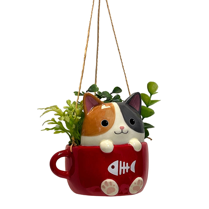 CATS IN CUPS MINI HANGING PLANTERS