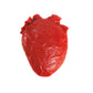 TEENY TINY VITAL ORGAN SQUISHY HEART