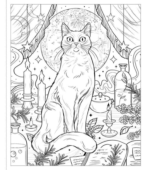 THE UNOFFICIAL COLORING BOOK FOR FANS OF PRACTICAL MAGIC BY CINTHYA ÁLVAREZ