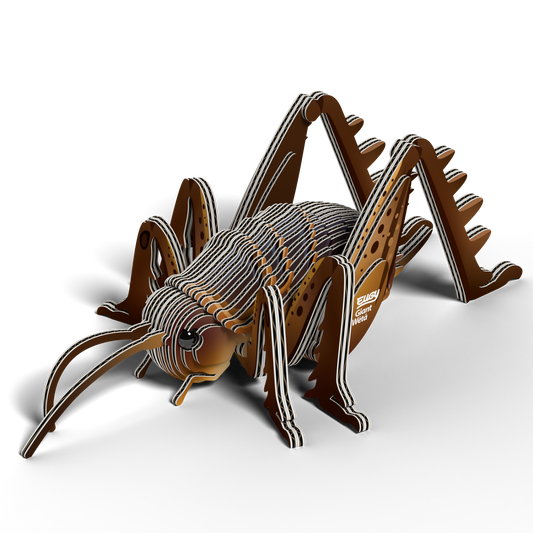 EUGY GIANT WETA