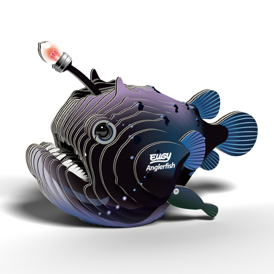 EUGY ANGLERFISH
