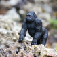 LOWLAND GORILLA