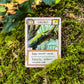 ECOLOGIES CARD GAME HIDDEN HABITATS EXPANSION