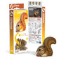 EUGY CHIPMUNK