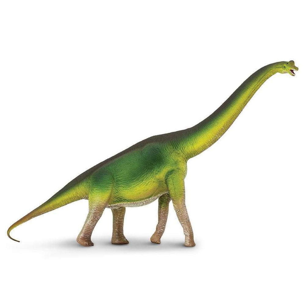 BRACHIOSAURUS
