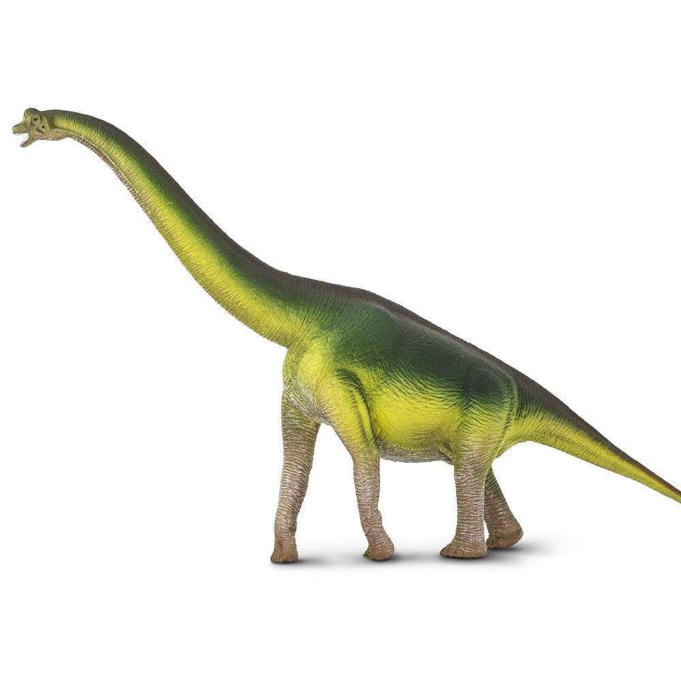 BRACHIOSAURUS