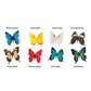 TOOB BUTTERFLIES