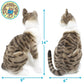 AMERICAN SHORT HAIR CAT PLUSH