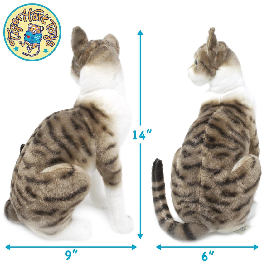 AMERICAN SHORT HAIR CAT PLUSH