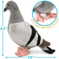 PEPPER THE PIGEON PLUSH