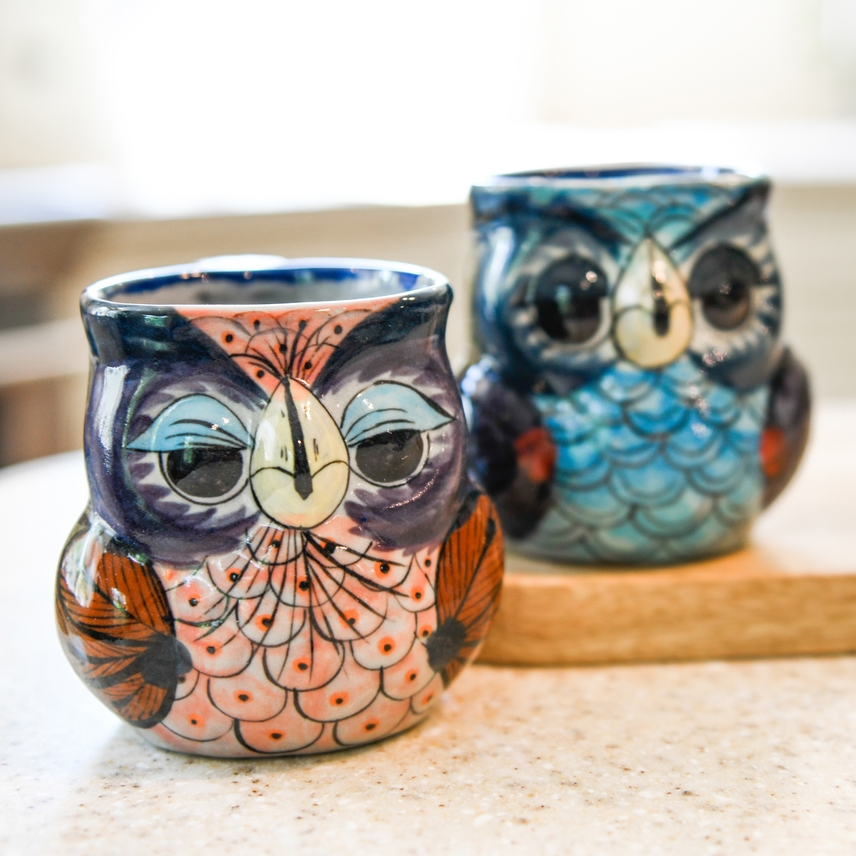 HAND PAINTED CERAMIC OWL COFFEE MUG