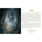 ANIMAL SPIRITS KNOWLEDGE CARDS FEATURING ART BY SUSAN SEDDON BOULET