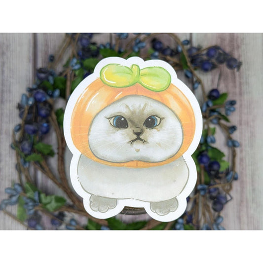 DERPY PUMPKIN CAT STICKER