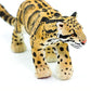 CLOUDED LEOPARD