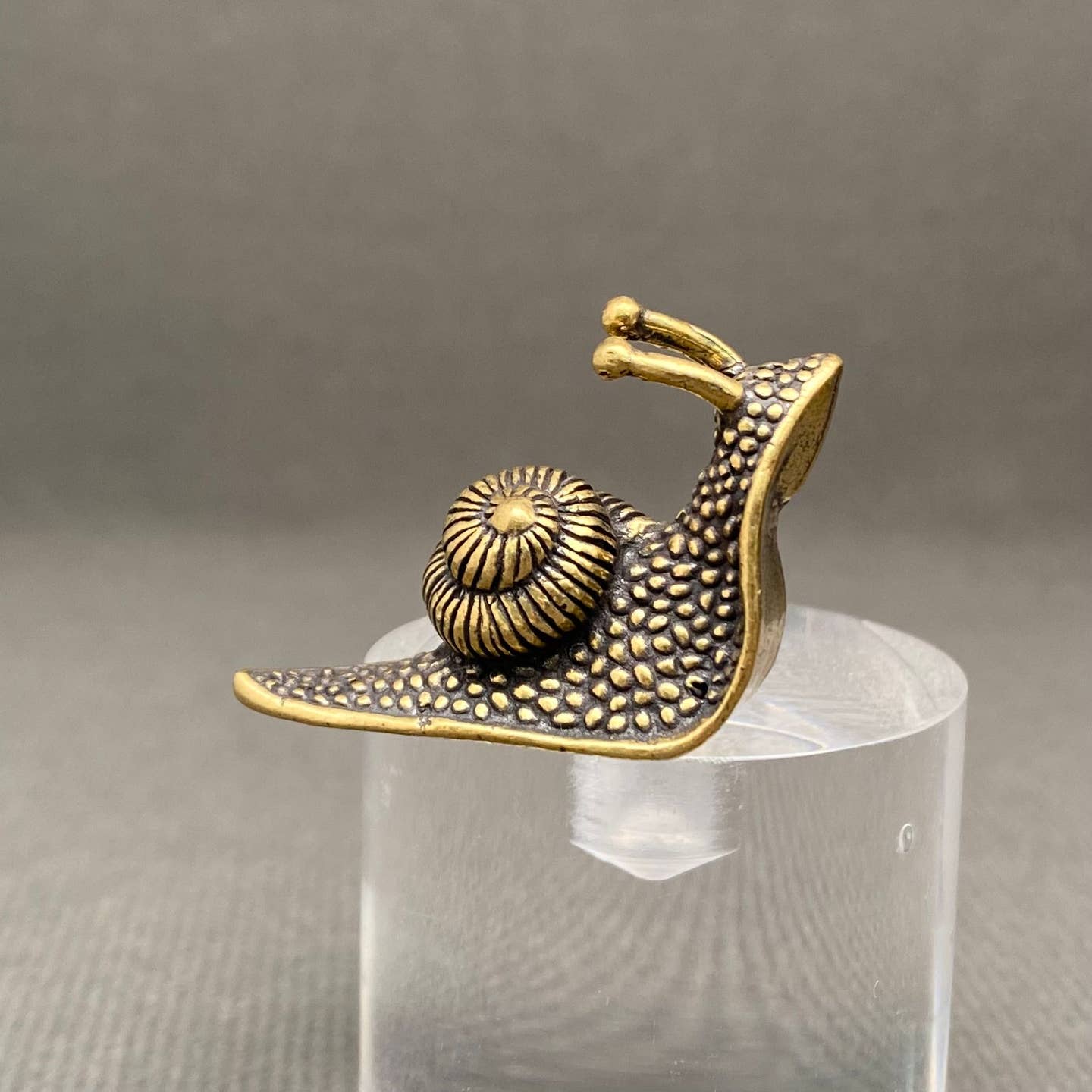 MINIATURE BRASS SNAIL