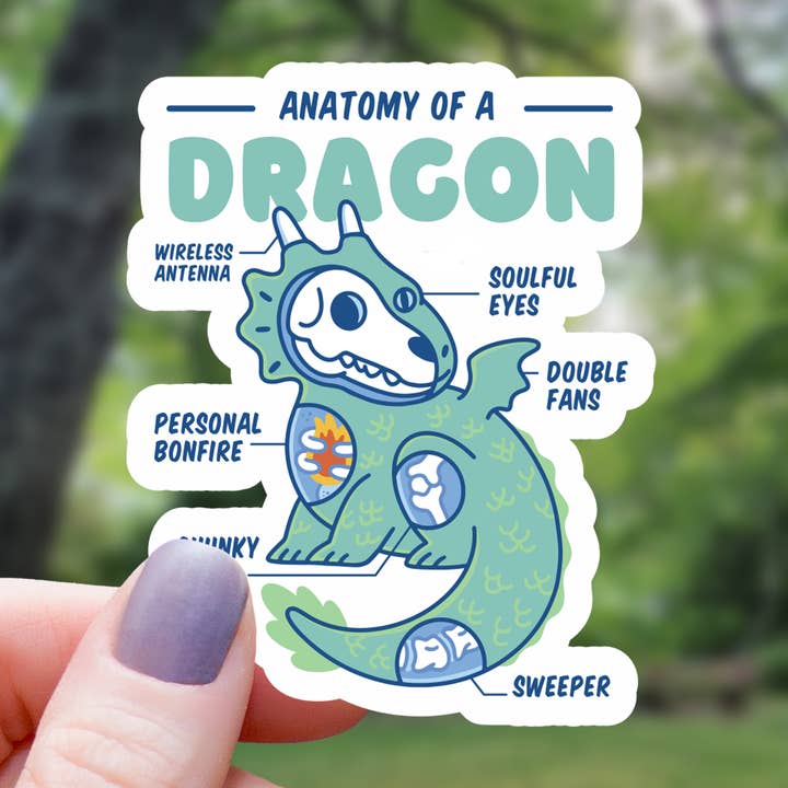 ANATOMY OF A DRAGON STICKER