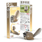 EUGY FANTAIL