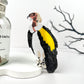 VULTURE HAIR CLAW