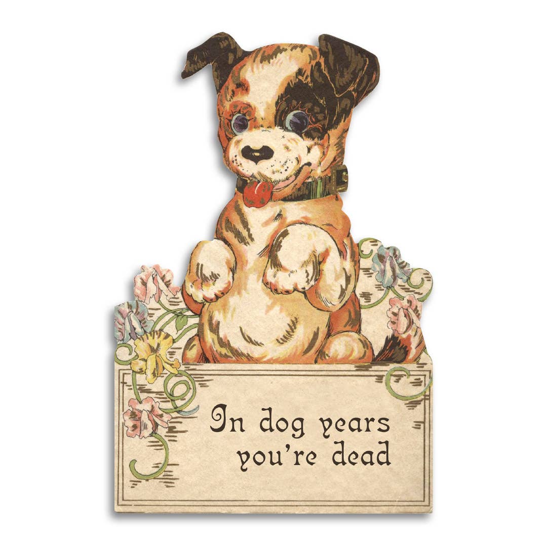 IN DOG YEARS, YOU'RE DEAD BIRTHDAY CARD