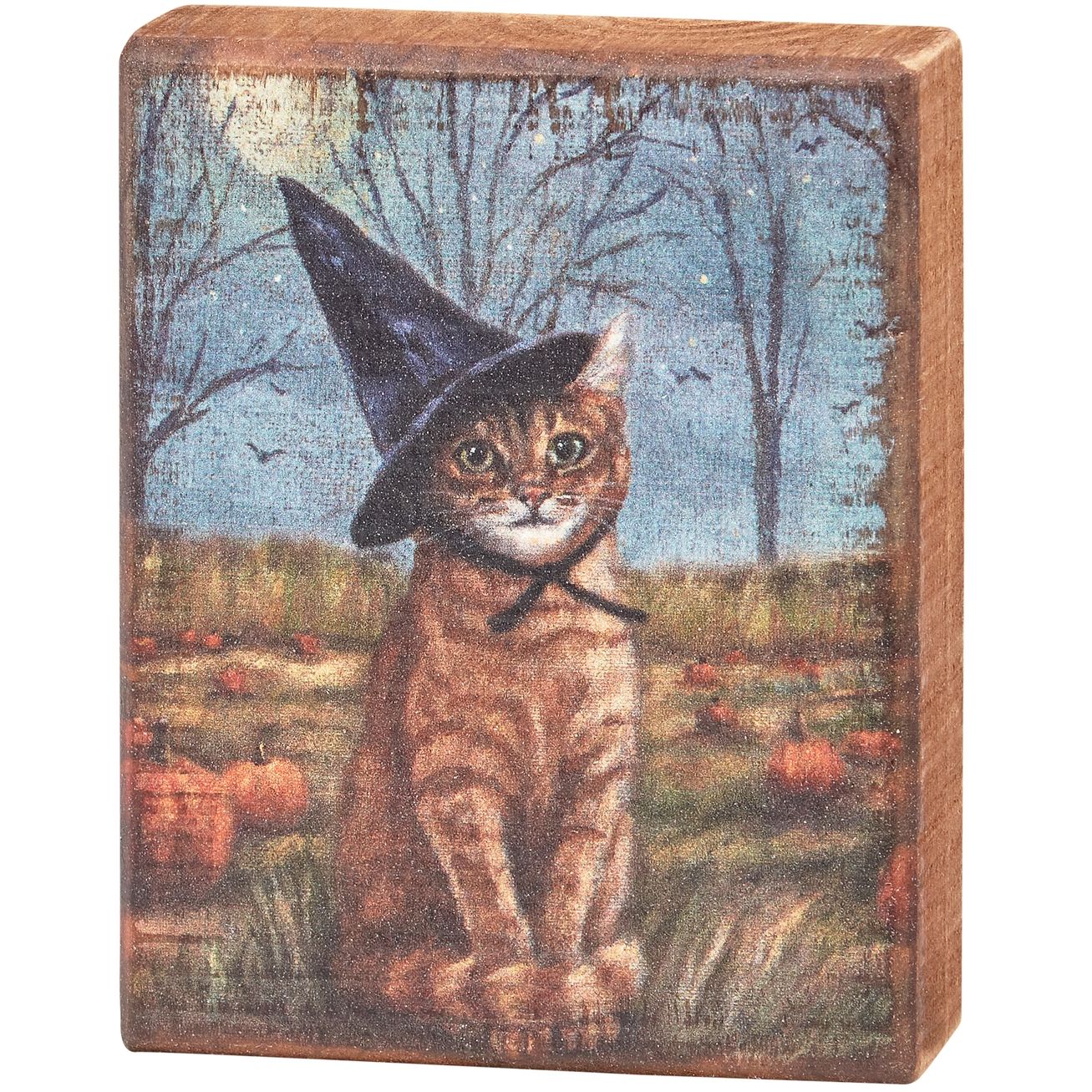 HALLOWEEN WITCHY KITTY SHELF SITTER