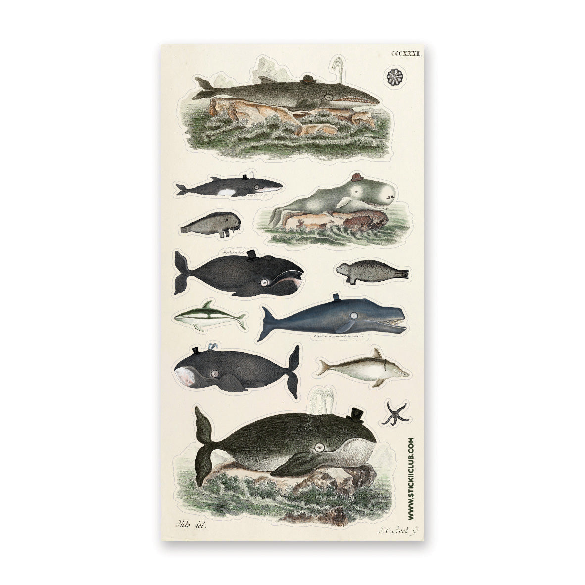 DAPPER WHALES STICKER SHEET