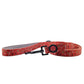 BARBARIAN DOG LEASH