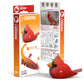 EUGY CARDINAL