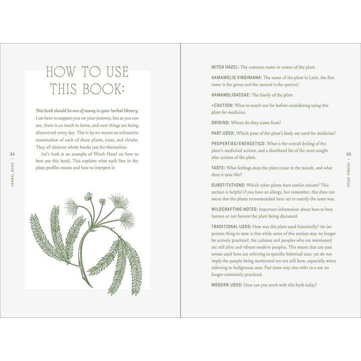 THE COMPLETE FOLK HERBAL BY REBECCA BEYER