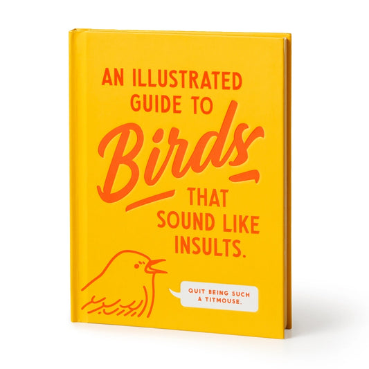AN ILLUSTRATED GUIDE TO BIRDS THAT SOUND LIKE INSULTS