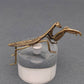 MINIATURE BRASS MANTIS