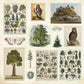 ENCHANTED FOREST STICKER BOOK