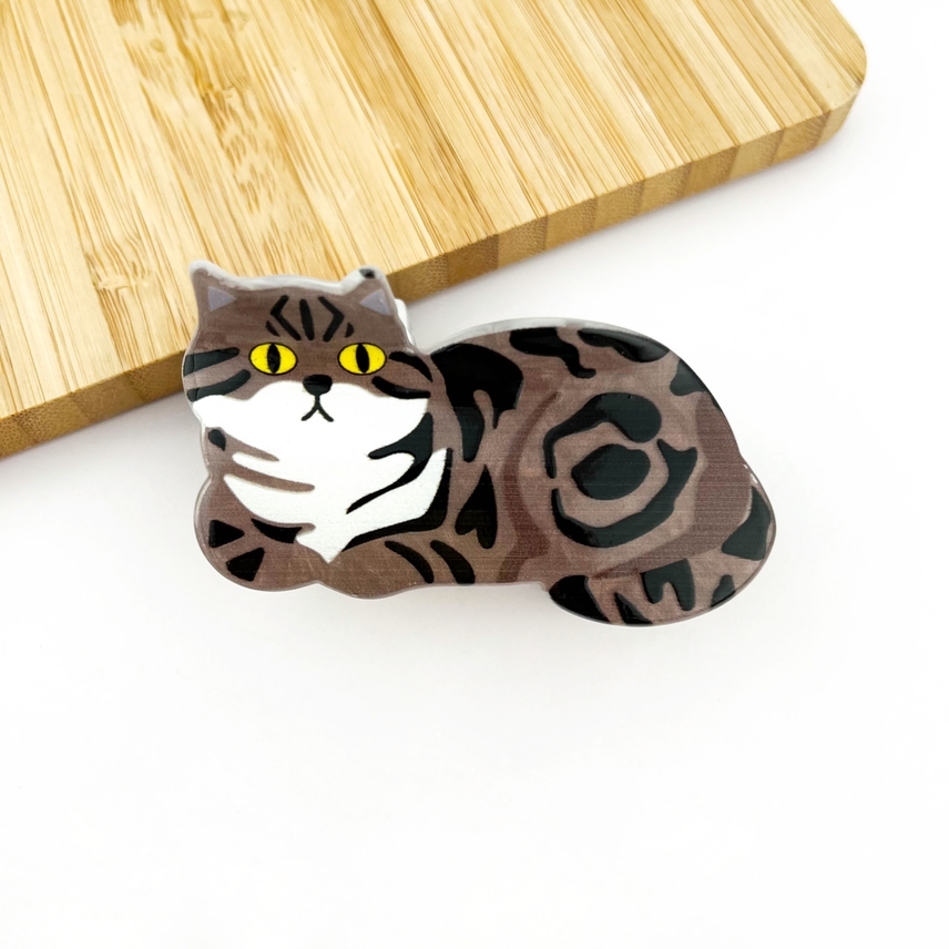 GREY STRIPED TABBY CAT HAIR CLAW