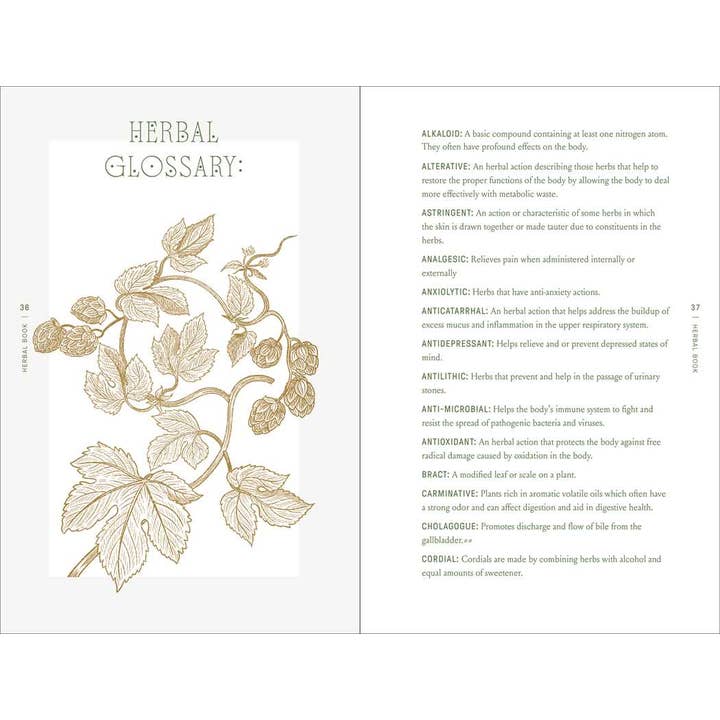 THE COMPLETE FOLK HERBAL BY REBECCA BEYER