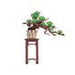 3D WOODEN PUZZLE EVERGREEN PINE BONSAI