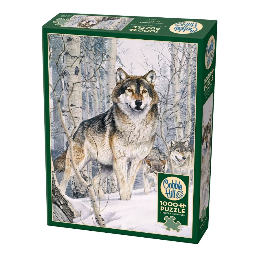 SECOND GLANCE 1000PC PUZZLE